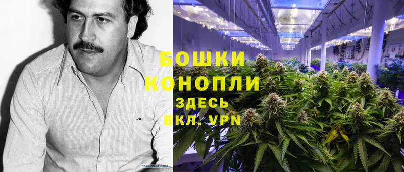 МАРИХУАНА Bruce Banner  Подольск 